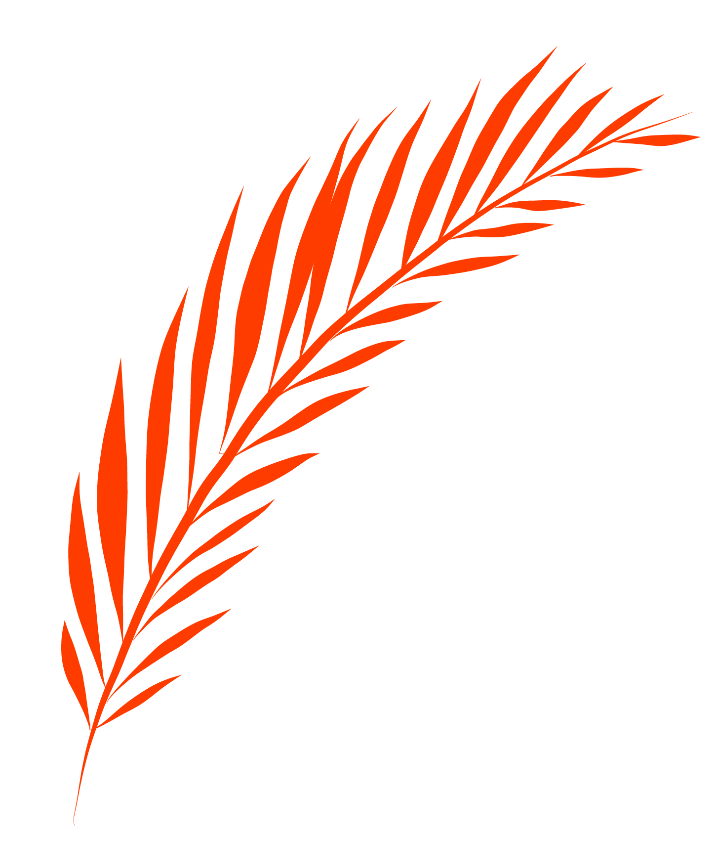 Decorativo IZQ 14